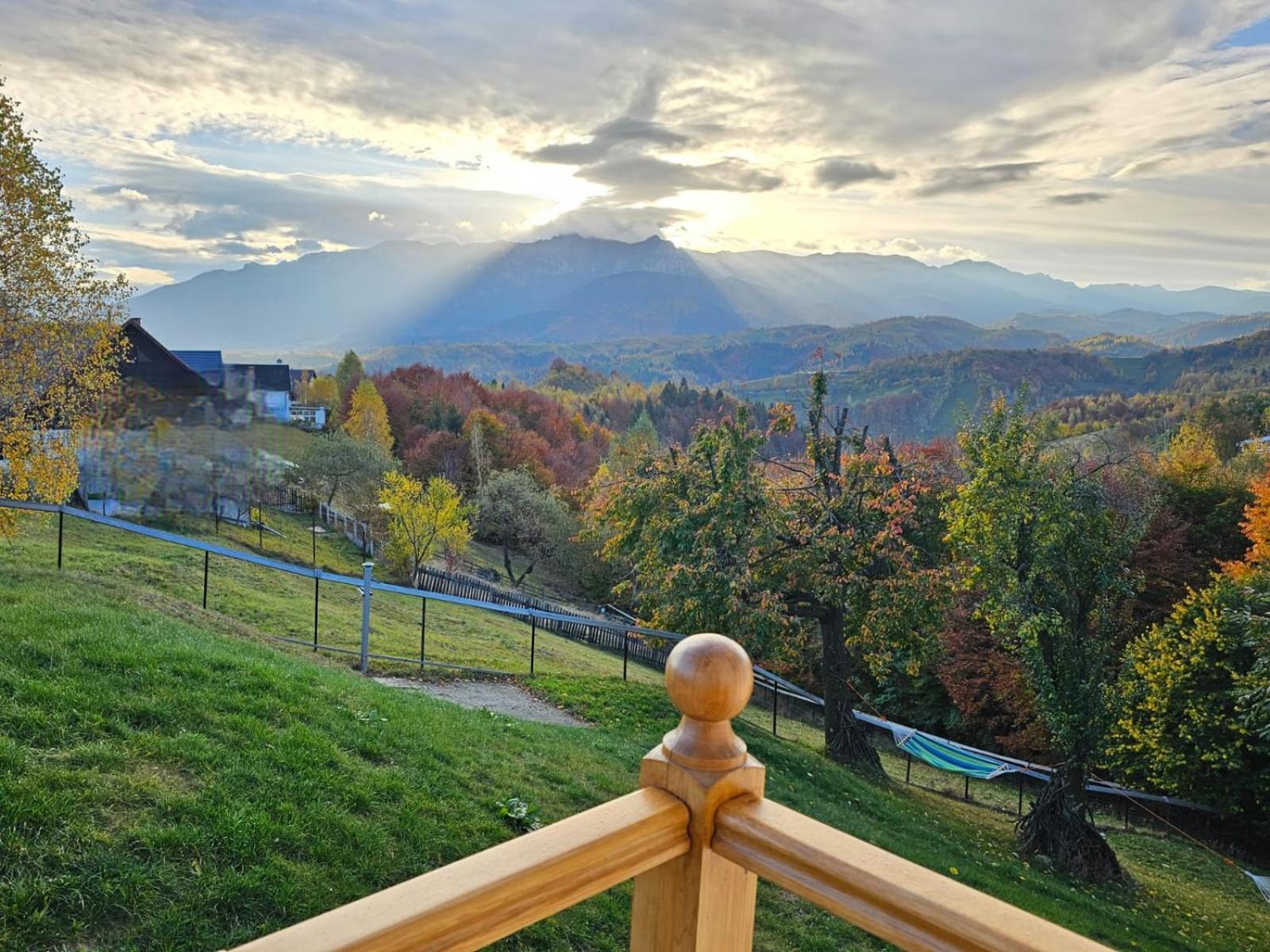 Villa Carpathia Magic -Adults Only à Peştera Extérieur photo