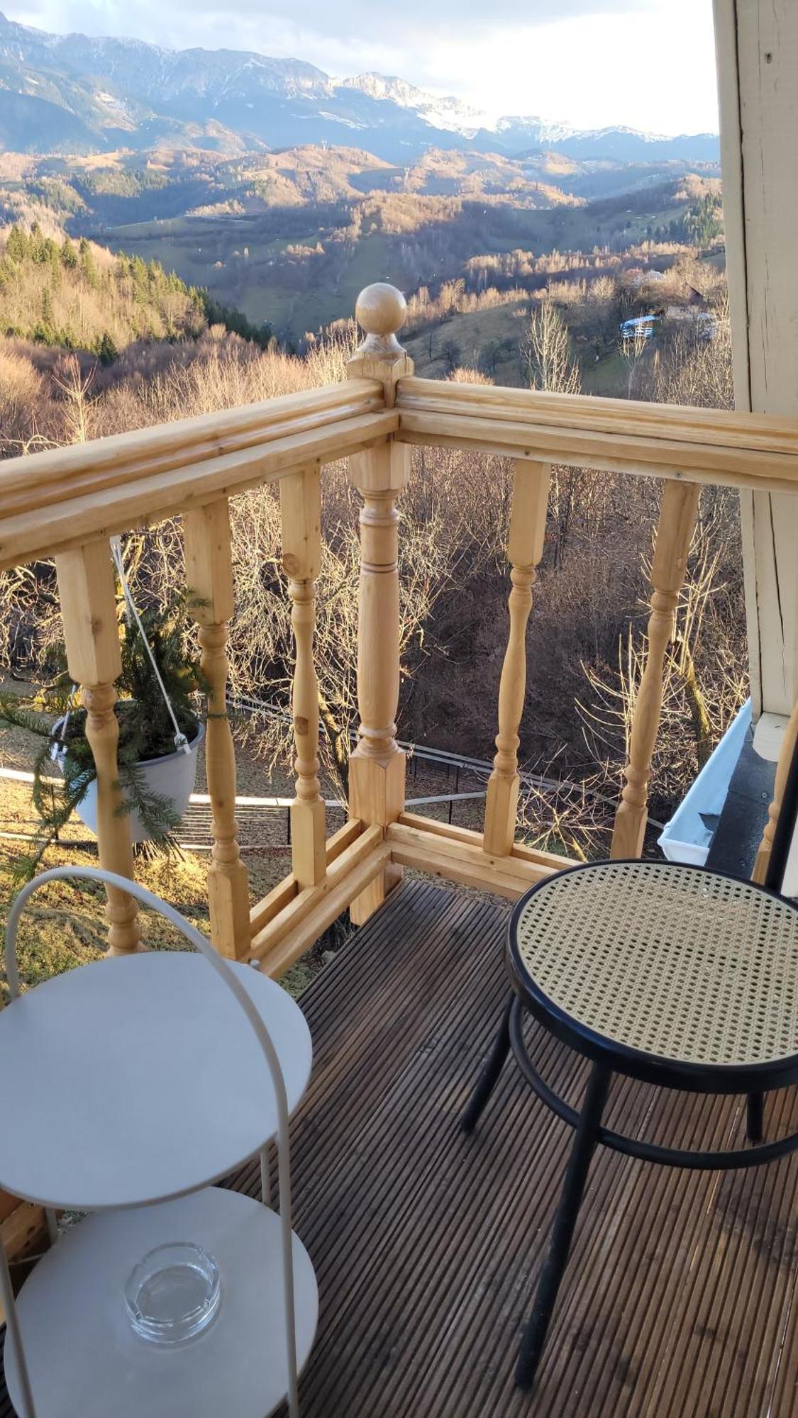 Villa Carpathia Magic -Adults Only à Peştera Extérieur photo