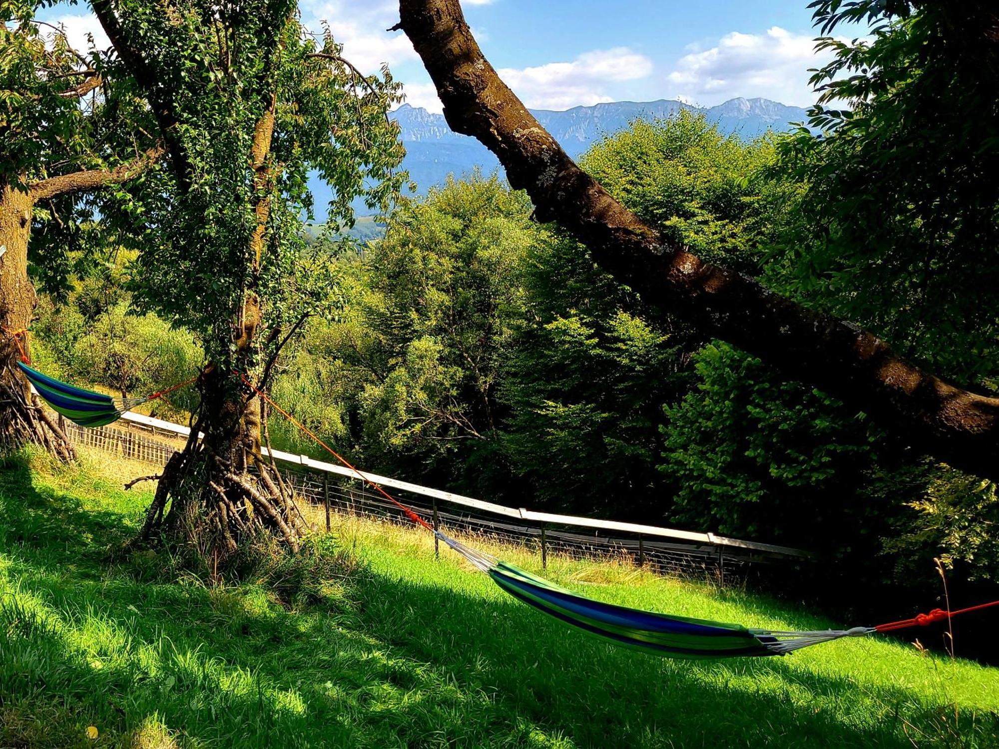 Villa Carpathia Magic -Adults Only à Peştera Extérieur photo